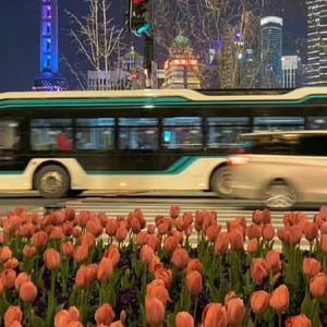 五月天综合网亚洲综合天堂网
