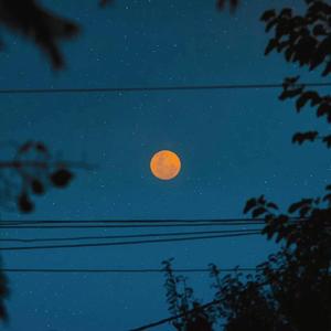 五月天综合网亚洲综合天堂网
